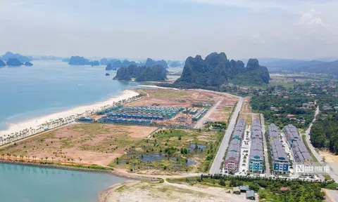 CEO Group lên tiếng về việc bị thu hồi dự án Sonasea Vân Đồn hơn 78 ha