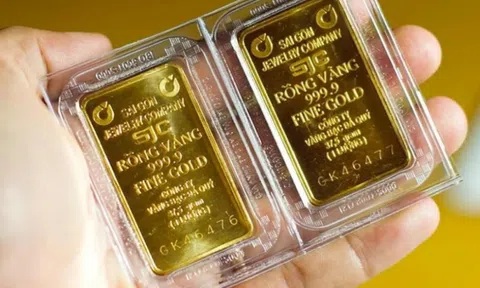 Giá vàng hôm nay ngày 16/11: Vàng trong nước đứng yên sau phiên biến động