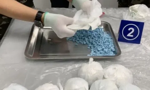 26kg ma tuý từ Mỹ, Đức gửi về Việt Nam qua đường sân bay