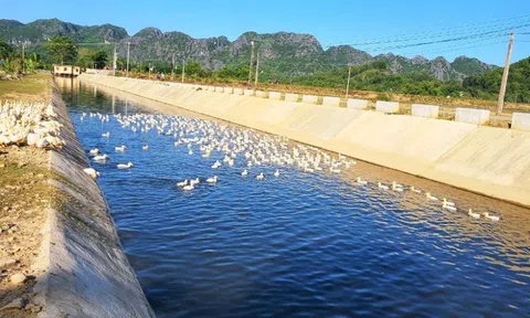 Thanh Hóa: Nhảy xuống mương nước cứu bạn, nam sinh lớp 5 đuối nước thương tâm