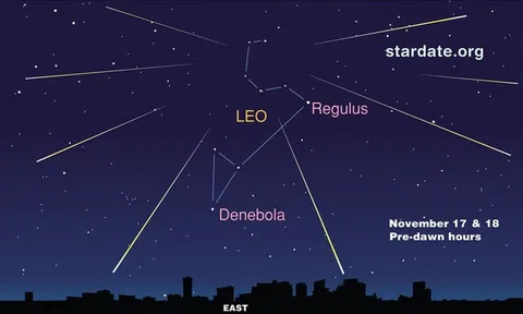 Việt Nam chiêm ngưỡng mưa ánh sáng cực đại từ "sư tử trời" vào đêm 17/11