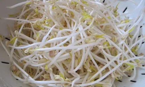 5 sai lầm cần tránh khi ăn giá đỗ