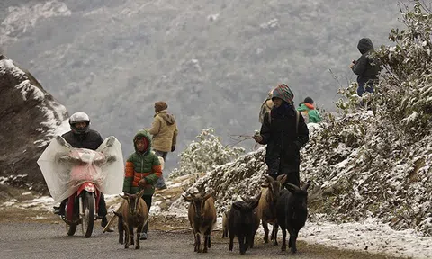 Miền Bắc sắp chuyển rét, nhiệt độ tại Hà Nội có thể xuống dưới 15 độ C