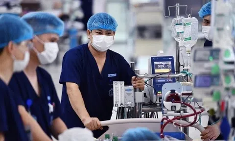 Tập trung thanh tra khám, chữa bệnh BHYT, đấu thầu, mua sắm y tế