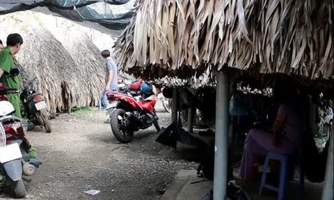 Bắt chủ quán cà phê trá hình cho nhân viên mua bán dâm tại chỗ