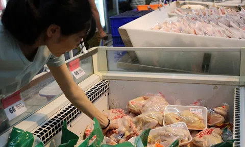 Nguồn cung trong nước dồi dào, kiến nghị hạn chế nhập khẩu gà đông lạnh