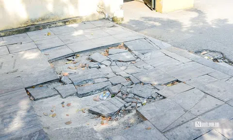 Giám đốc Sở Xây dựng Hà Nội nói đá lát vỉa hè mưa xuống thì bị giãn nở, tự vỡ