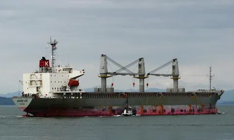 MSB thanh lý tàu biển Nhật Bản, giá khởi điểm 100 tỷ đồng