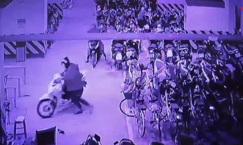 Lợi dụng bảo vệ chung cư ngủ say, nhóm bịt mặt chuyên trộm xe Honda Vision