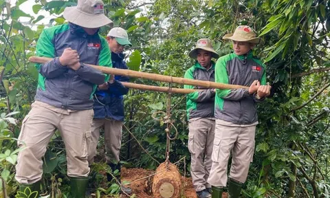 Quảng Trị: Phát hiện quả bom nặng hơn 1 tạ khi làm rẫy