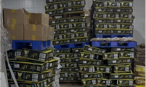 Đồng Nai: Phát hiện hơn 25 tấn thực phẩm không rõ nguồn gốc