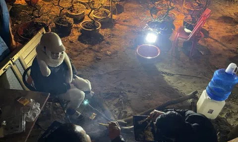 Người bán hoa Tết đủ thứ lo trong cái rét 13°C