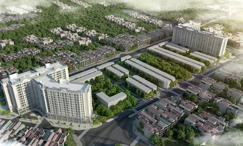 Bộ Xây dựng nói gì về việc chủ đầu tư "bán lúa non" căn hộ, huy động vốn trái phép từ người mua nhà?