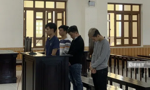 Bình Thuận: Bản án cho 4 người con bắt trói cha ruột, ép đưa sổ đỏ