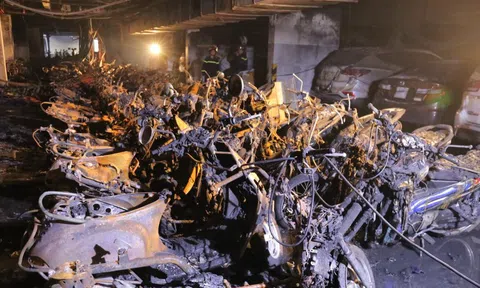 Sắp xét xử vụ án cháy chung cư Carina làm 73 người thương vong