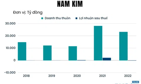 Hậu kiểm toán, tài chính của Thép Nam Kim ảm đạm nhất sau một thập kỷ