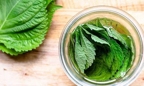 Loại rau thơm quen thuộc bán đầy chợ, ăn vào đẹp da, ngừa ung thư