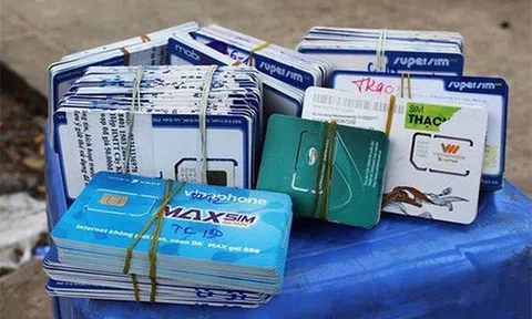 Triển khai đợt thanh tra diện rộng các doanh nghiệp sử dụng số lượng lớn SIM điện thoại