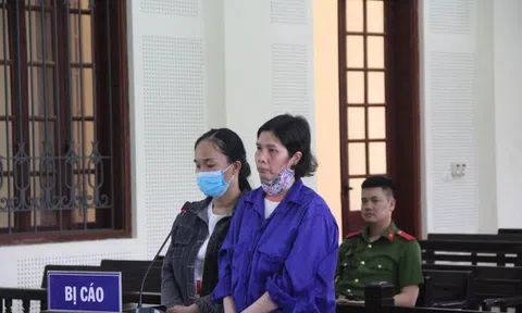 Giả danh chủ tịch, nữ quái lừa đảo chiếm đoạt hơn 15 tỷ đồng