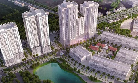 Nhà đầu tư bất động sản rục rịch săn hàng