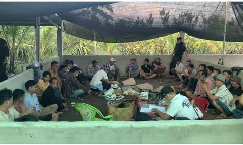 Bắt quả tang 56 đối tượng đánh bạc dưới hình thức đá gà, lắc tài xỉu, thu giữ nhiều tài sản có giá trị