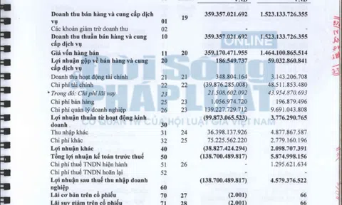 QBS của bà Vũ Thị Dương gặp khó khi kinh doanh thua lỗ và nợ xấu “phình to”
