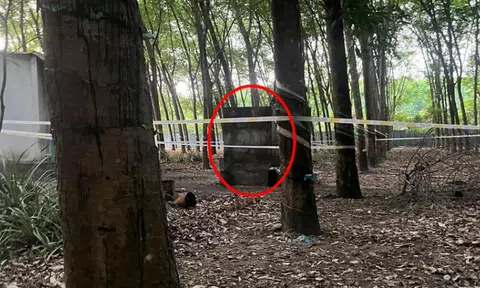 Bình Dương: Nữ chủ quán Karaoke chết bất thường trong nhà vệ sinh bỏ hoang