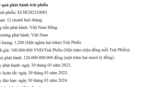 Encapital Holdings - cổ đông lớn của chứng khoán DNSE huy động 120 tỷ đồng trái phiếu