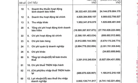 Trước lùm xùm với diễn viên Ngọc Lan, Manulife báo lãi kỷ lục 2.562 tỷ đồng