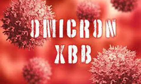 Hà Nội: Ghi nhận biến thể phụ XBB.1.9.1 của COVID-19