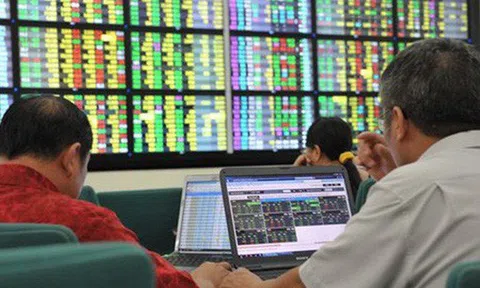 Sử dụng 24 tài khoản để thao túng cổ phiếu C69, một người bị phạt hơn nửa tỷ đồng