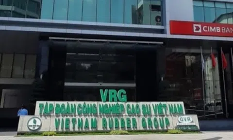 Tập đoàn Công nghiệp Cao su Việt Nam (VRG): Lãi ròng sụt giảm và khoản đầu tư 1.163 tỷ đồng vào chứng khoán