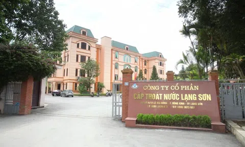 “Ém” thông tin, Licogi 166, Cấp thoát nước Lạng Sơn, Mía đường Cần Thơ bị xử phạt