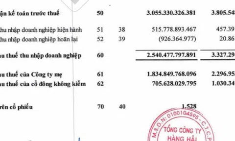 Tổng Công ty Hàng hải Việt Nam (VIMC): Lợi nhuận giảm 31%, đạt hơn 2.500 tỷ đồng