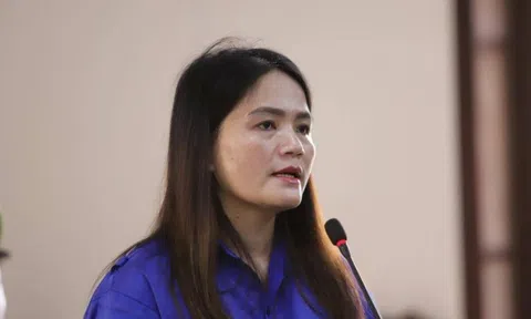 Hà Tĩnh: Nữ cò đất lĩnh 14 năm tù vì chiếm đoạt gần 4,7 tỷ đồng