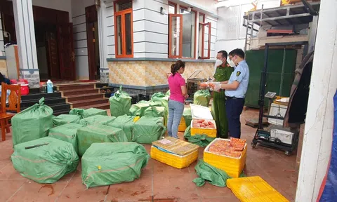 Hà Nội: Thu giữ gần 1 tấn trứng non, nầm động vật không rõ nguồn gốc, bốc mùi khó chịu