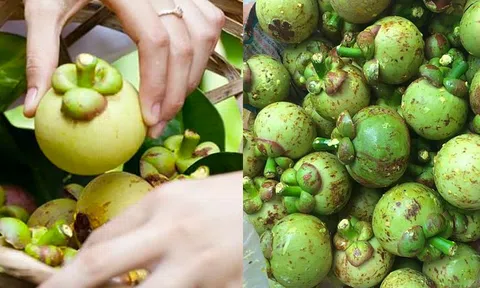 Cách làm gỏi gà măng cụt thơm ngon, lạ miệng gây sốt cư dân mạng thời gian gần đây