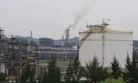 Thanh Hoá: Tìm giải pháp tạo nguồn thu ngân sách bền vững từ hoạt động xuất nhập khẩu