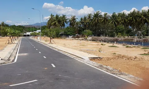 Khánh Hòa: 2.385 thửa đất ở huyện Cam Lâm được giao dịch trở lại