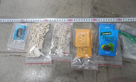 TP.HCM: Triệt phá đường dây sản xuất ma túy nhập nguyên liệu từ Pháp về Việt Nam