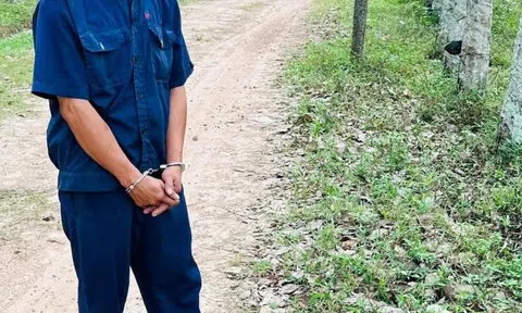 Vờ mua phân bò, tên cướp chích điện nữ gia chủ rồi giật dây chuyền