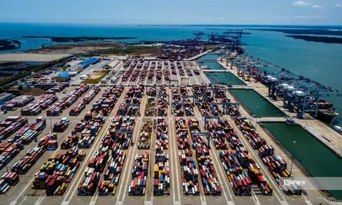 Lợi nhuận quý I/2023 của Container Việt Nam giảm 61%