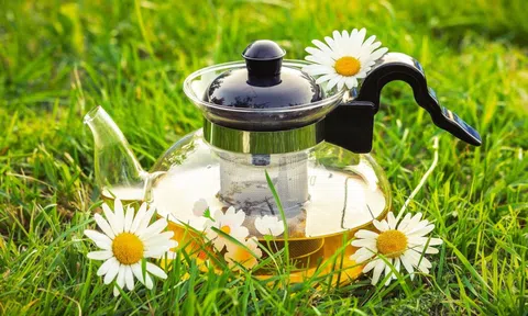 Buổi tối uống 1 cốc nước này vừa ngon vừa bổ, lại giúp ngủ ngon
