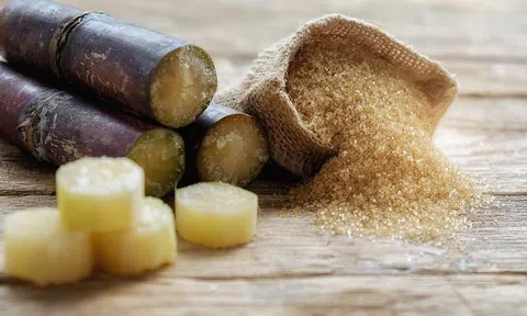 Giá đường tăng cao, doanh nghiệp mía đường hưởng lợi