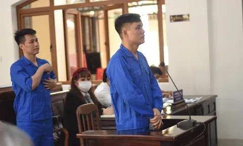 Đồng Nai: Giám đốc vẽ dự án "ma", lừa đảo hơn 100 tỉ đồng