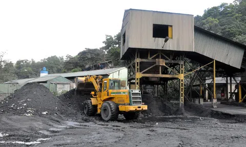 Lãnh đạo EVN: “Gồng mình” đảm bảo đủ điện dù giá than cao, sản lượng thiếu hụt