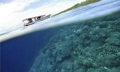 Các nhà khoa học lo lắng khi nước biển ấm lên nhanh chóng