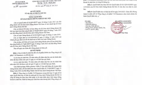 Cổ phiếu bị cảnh báo, Danameco lỗ gần 24 tỷ trong 3 tháng đầu năm