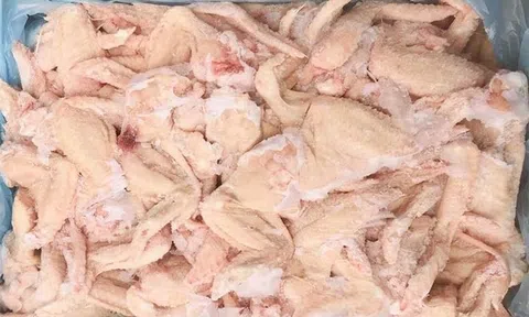 Đề nghị Bộ Quốc phòng, Bộ Công an tăng cường ngăn chặn nạn nhập lậu gia cầm