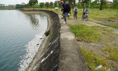 Hà Tĩnh: Tìm nguyên nhân cá chết hàng loạt tại hồ Bồng Sơn